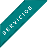 SERVICIOS